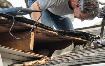 common causes of Tan Office Green fascia damage