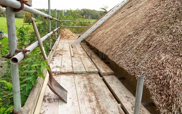advantages of Tan Office Green thatch roofing