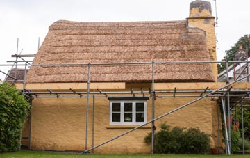 Tan Office Green thatch roofing costs