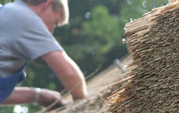 professional Tan Office Green thatchers