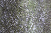 Tan Office Green fibreglass roof work