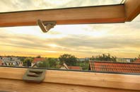 rated Tan Office Green roof window companies